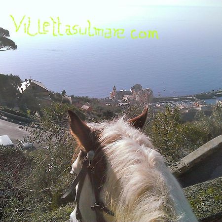 Villetta Sul Mare Camogli Exteriér fotografie