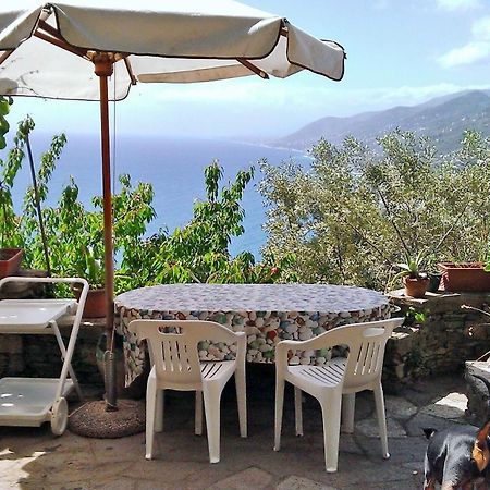 Villetta Sul Mare Camogli Exteriér fotografie