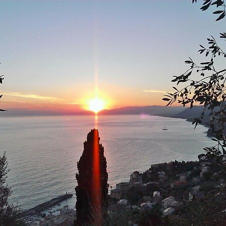 Villetta Sul Mare Camogli Exteriér fotografie