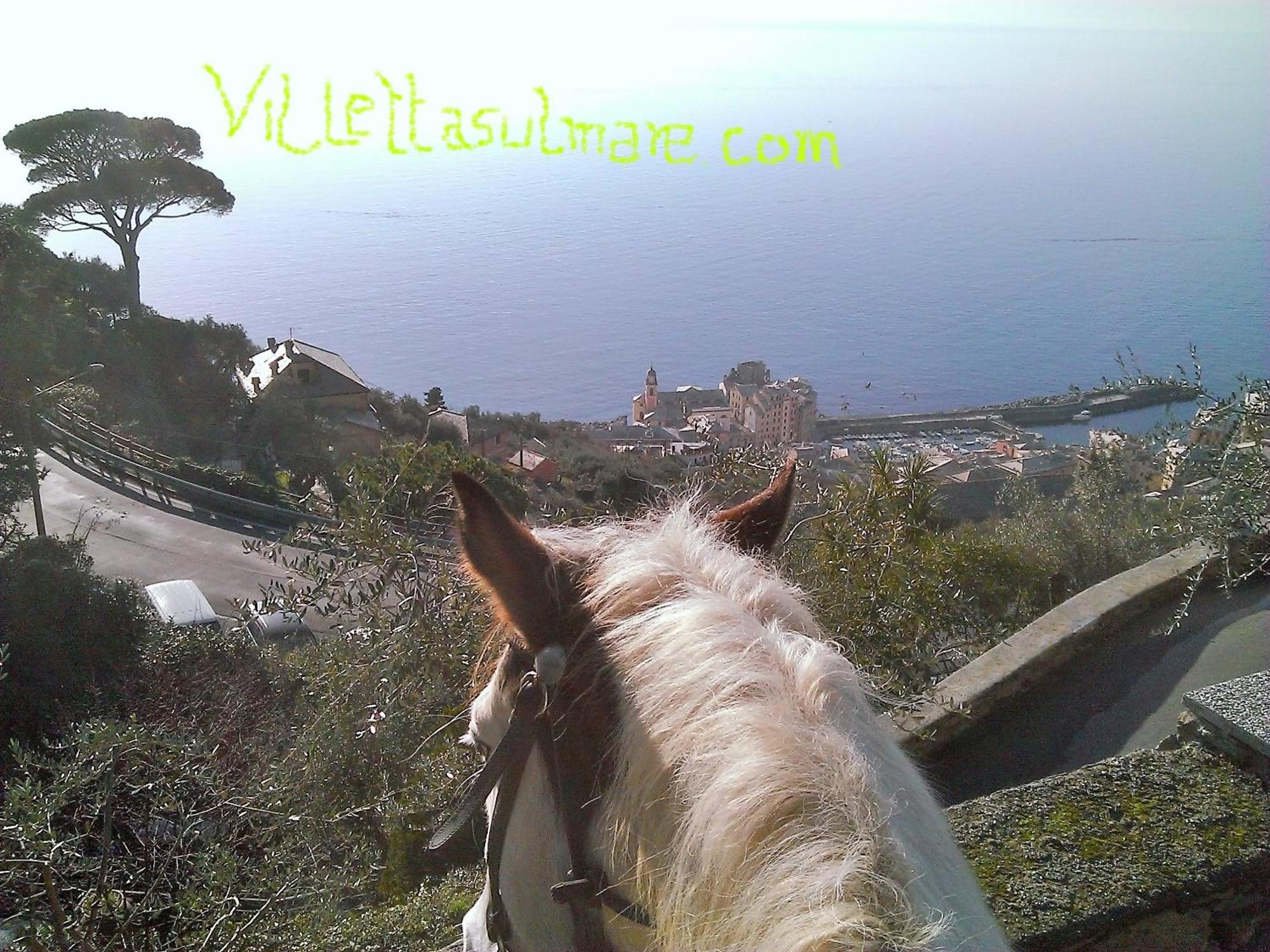 Villetta Sul Mare Camogli Exteriér fotografie