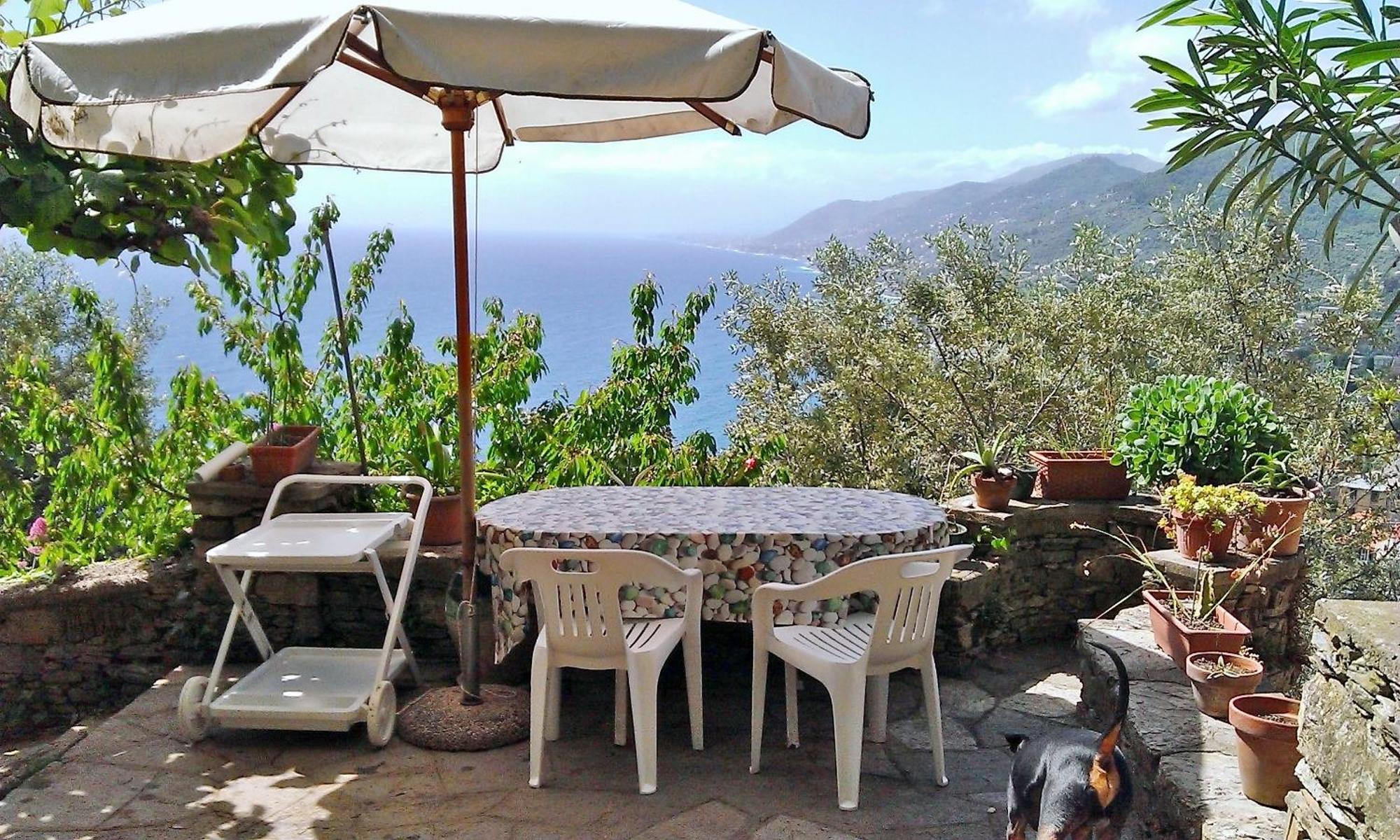 Villetta Sul Mare Camogli Exteriér fotografie