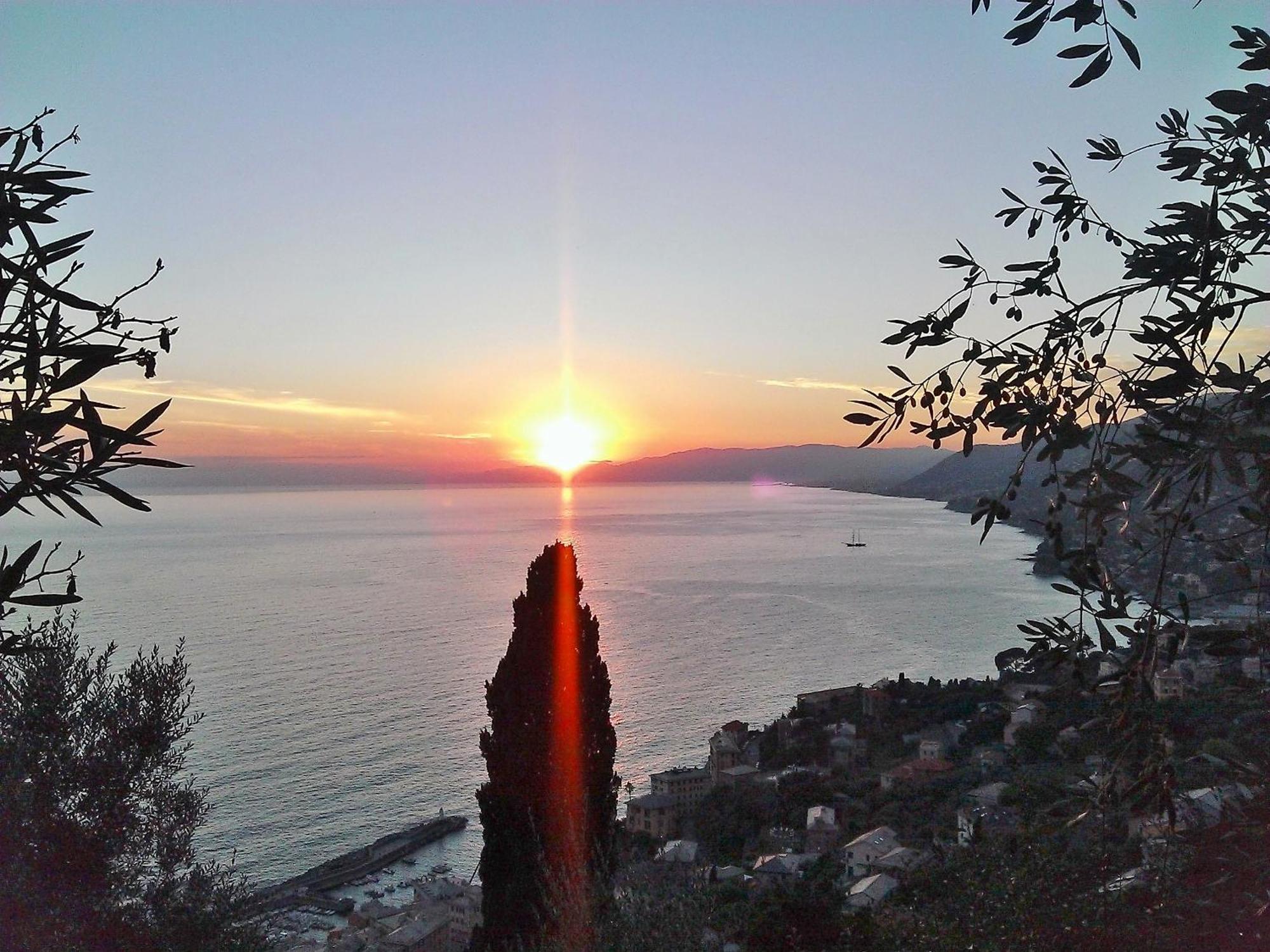 Villetta Sul Mare Camogli Exteriér fotografie